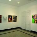 Galerie 9 - expozice SK