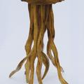Kesonovka - ořech, výška 110 cm