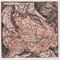 Opuštěná kukla - 1997