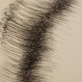 Z cyklu Hory, skály a mraky - Cirrus fibratus vertebratus - 2009, tuš, papír 13x20 cm