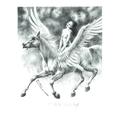 Nymfa na Pegasu